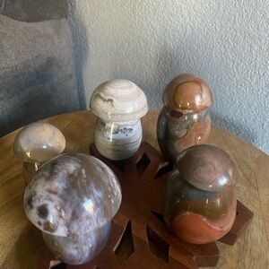 Ocean Jasper and Polychrome Mushrooms Bundle